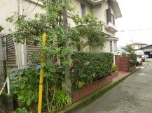 ★Ｔ様邸・お庭の手入れ★