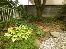 ★Ｉ様邸・ヤマモモの剪定★
