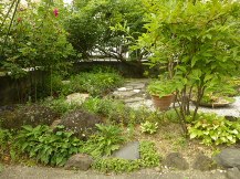★Ｉ様邸・ヤマモモの剪定★