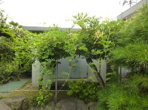 ★Ｈ様邸・お庭の手入れ★