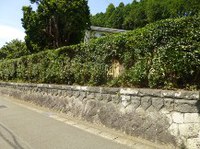 ★別荘地・生垣の剪定★