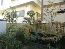 ★ＡＹ様邸・お庭の手入れ★