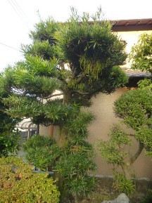 ★OK様邸・お庭手入れ②★