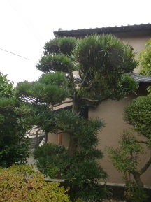 ★OK様邸・お庭手入れ②★