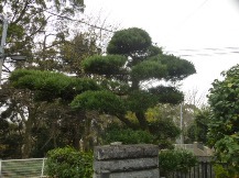 ★OK様邸・お庭手入れ②★