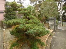 ★OK様邸・お庭手入れ②★