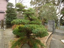 ★OK様邸・お庭手入れ②★