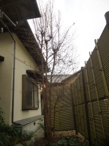 ★OK様邸・お庭手入れ②★