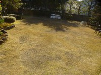 ★芝生の目土入れ★ 2016/01/21 19:41:17