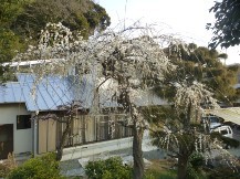★別荘地の手入れ②★