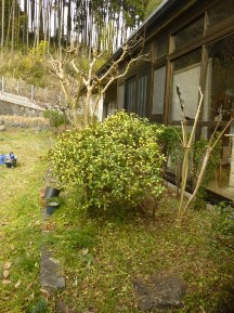 ★別荘地の手入れ②★