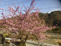 ★別荘地の手入れ②★