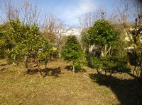 ★別荘地の手入れ④★
