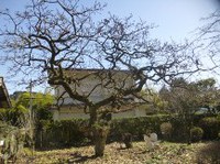 ★別荘地の手入れ⑤★