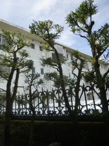 ★M様邸・お庭の手入れ★