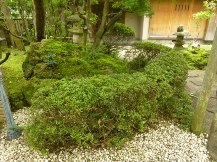 ★サツキ、ツツジの刈り込み★