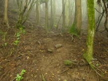 ★越前岳は霧だった★