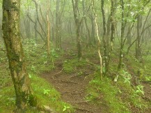★越前岳は霧だった★
