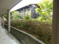★ツツジ､サツキの刈込み★