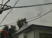 ★SG様邸・ケヤキを小さく★