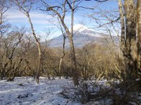 ★越前岳は雪だった★