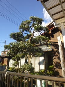 ★KM様邸・お庭の手入れ①★