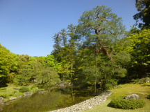 ★京都・無鄰菴庭園★