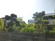 ★SN様邸・お庭の手入れ②★