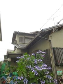 ★伐木★