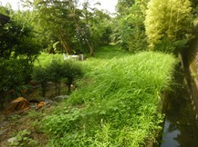 ★別荘地の草刈り★