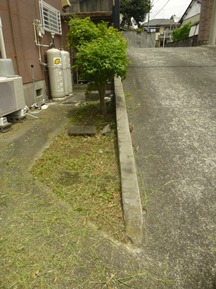 ★IT様邸・お庭の手入れ★