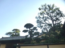 ★Ｋ様邸・お庭の手入れ★