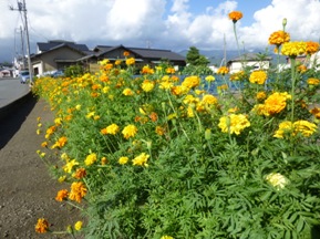 ☆Ｓ様邸お庭の手入れ☆