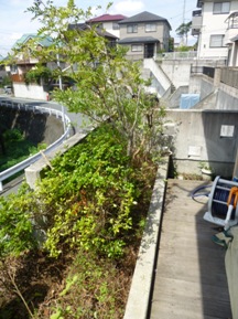 ☆Ｈ様邸-高圧洗浄です☆