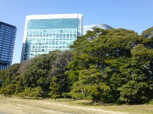 ★浜離宮恩賜庭園・⑤池・他★