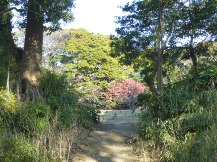 ★浜離宮恩賜庭園・⑤池・他★