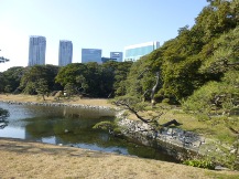 ★浜離宮恩賜庭園・⑤池・他★