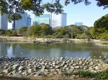 ★浜離宮恩賜庭園・⑤池・他★