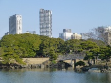 ★浜離宮恩賜庭園・⑤池・他★