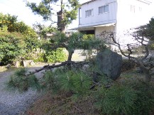 ★Ｓ様邸お庭の手入れ★