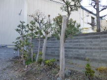 ★Ｓ様邸お庭の手入れ★