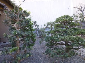 ★Ｓ様邸お庭の手入れ★